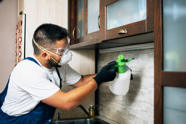 Best Mosquito Control Services  in Shelburn, IN