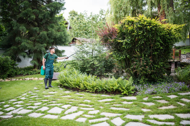 Best Residential Pest Control  in Shelburn, IN