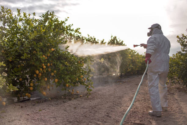 Best Best Pest Control Companies  in Shelburn, IN