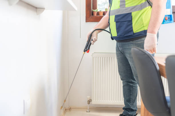 Best Termite Control Services  in Shelburn, IN