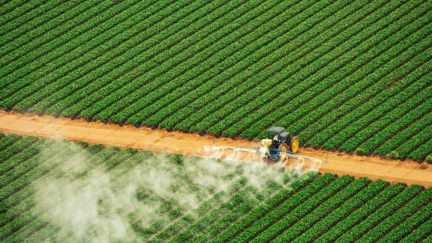 Best Pest Prevention Services  in Shelburn, IN