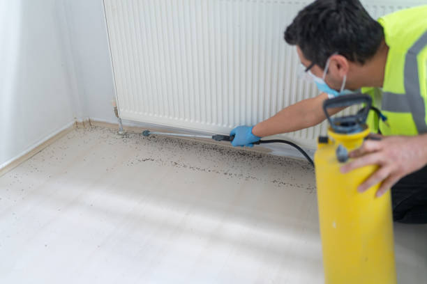 Best Pest Control Near Me  in Shelburn, IN