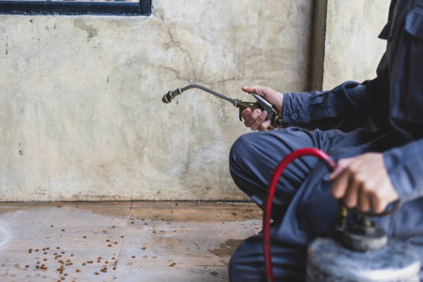 Best Affordable Pest Control Services  in Shelburn, IN